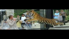 Greatest Tiger Attacks Ever Caught On Camera