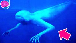 7 Most Terrifying Animals Of The Deep Ocean