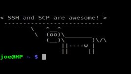 Use SSH and SCP to Manage Lots of Linux Machines