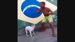 Brazilian boy dances with his dog رقص پسر بچه برزیلی سگش موزیک بندری