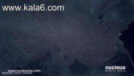 مراحل قبل تشکیل جنین www.kala6.com