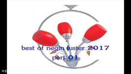 best luster of negin luster 02