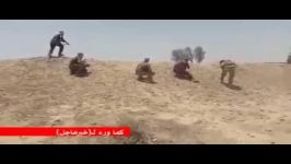 دستگیری تک تیرانداز داعش درحال عملیات توسط ارتش عراق