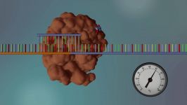 توالی یابی DNA