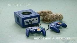 آیا خارپشت ها هم سونیک ادونچر 2 را در سگا بازی میکنند ؟  hedgehog animal sonic adventre sega game