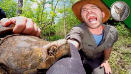 CRAZY Alligator Snapping Turtle Bite