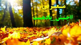 همه آنچه باید در مورد جنبش #یادهست بدانید