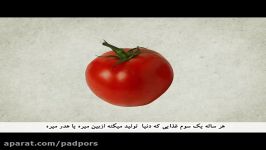 آلودگی هوا ربطی به غذا خوردن ما داره؟