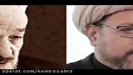 مولوی انحرافات وحشتناک بزرگش نگاه علامه جعفری