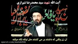 کرامت امام رضا علیه السلام  آیة الله السید رضا الشیرازی