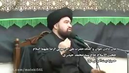 علامه سید محمد حیدری  كمك امام رضا علیه السلام