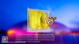 Auroled Transparent led screen display glass led display