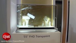 See through OLED TV a window to tomorrow