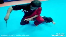 Kick jitsu MMA