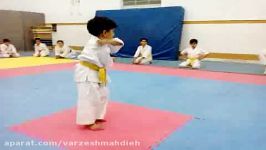 فرم نونهالان کلاس کیوکوشین کاراته باشگاه شهدای گمنام
