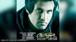 Hasan Donyabin – Chi Begam