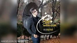 Behzad Salimi – Baroon