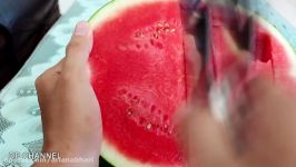 5 AMAZING WATERMELON TRICKS