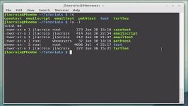 Linux Commands for Beginners 14  Reading Permissions