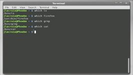 Linux Commands for Beginners 24  which and whatis