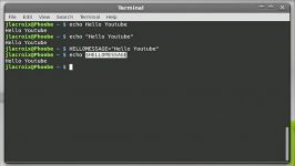 Linux Commands for Beginners 19  Echo And Creating Variables