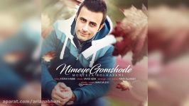 Morteza Bolhasani – Nimeye Gomshode