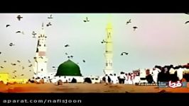 نماهنگ زیبای ولادت پیامبر اکرم صلی الله علیه آله