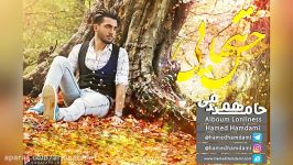 Hamed Hamedani – Hese Tanhaei – Enerzhi