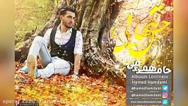 Hamed Hamedani – Hese Tanhaei – Hashiyeh