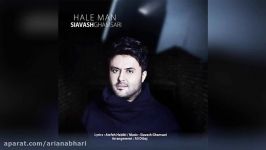 Siavash Ghamsari – Hale Man