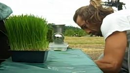 WHEATGRASS THE MIRACLE SUPERFOOD + How to Make Wheat Grass Juice  