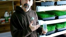 Barley Fodder Grow Room Procedures  Step by Step through the Daily Task