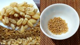 How to Lose Weight Fast 3Kg in 10 Days with Wheat Sprouts How to make Wheat Sprouts