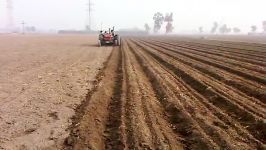 Raised Bed Planting For Weat Crop PROF DR RAI NIAZ AHMED