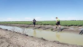 Shearpower Cotton Irrigation