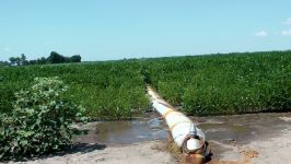 Poly Pipe crop rigation in Arkansas