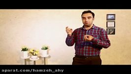 ایستگاه مجازی اجرای زیبای سید حمزه امیرحسینی