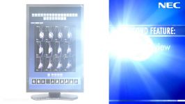 Clinical Review Quick Screen QA  NEC Display Solutions