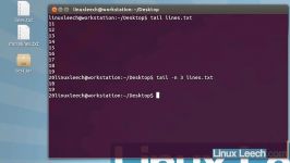Tail utility. Commands for linux