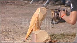 European Chainsaw speed carving Championships.