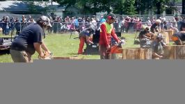 Chetwynd Chainsaw Carving