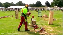 Chainsaw carving for utube.mpg