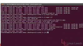 BASH Shell mands wildcard character classes mands for linux 