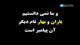 پیامبری کنار خانه ما ردشد