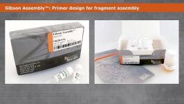 Primer Design and Fragment Assembly Using Gibson Assembly™
