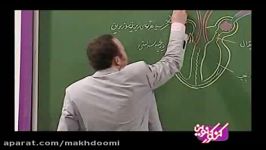 آموزش فیزیولوژی قلب