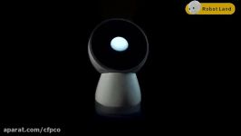 ربات اجتماعی Jibo