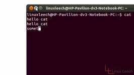 BASH Shell mands cat mands for linux 