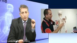 TV 71 scapula kinematics misalignment in athletes نا هنجاری استخوان شانه در ورزشکارها