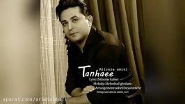 Alireza Amini – Tanhaee